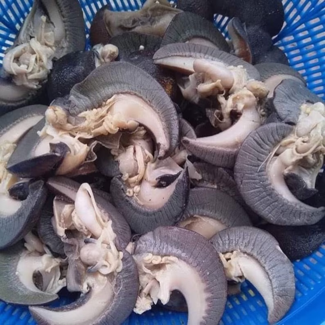 Organic Large Snails